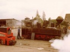 Die dampfende Taxus steht neben der Paeonia vor der Werkstatt [1982]