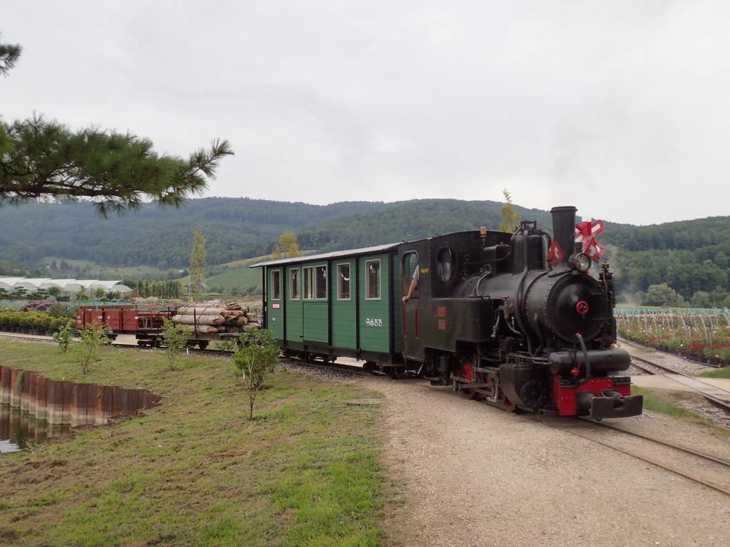 Dampflokomotive Pinus