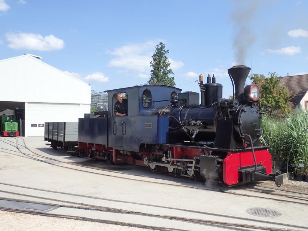 Dampflokomotive Sequoia