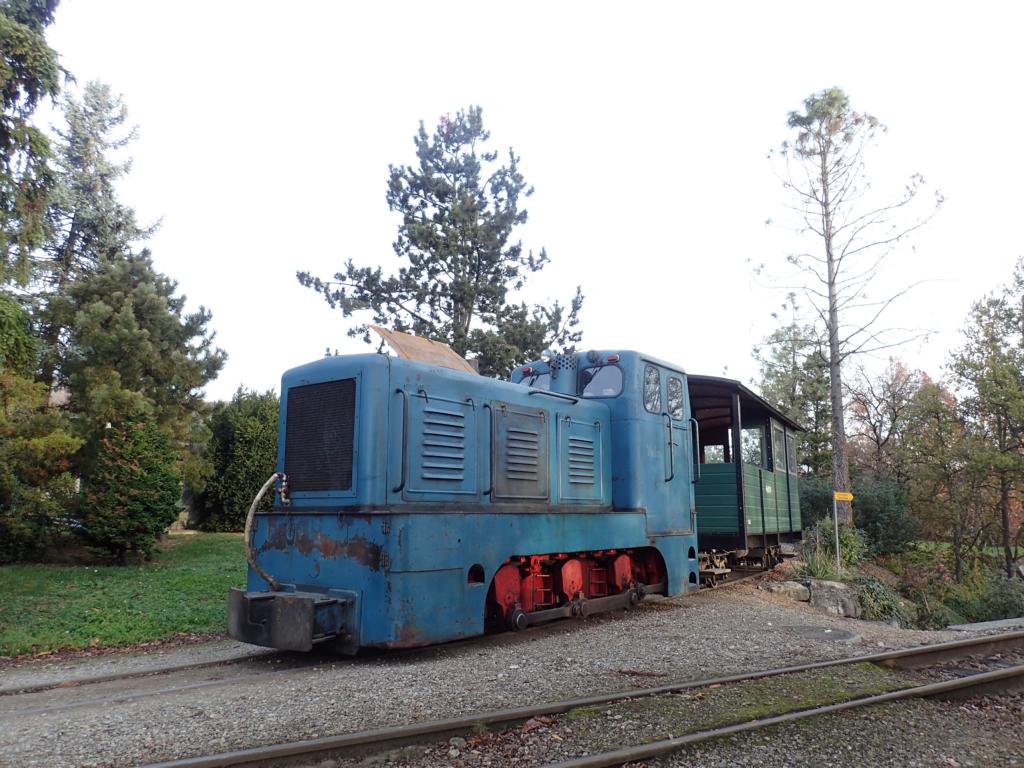 Diesellokomotive Viola V10C