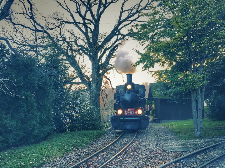Erfolgreicher Nordpol Express
