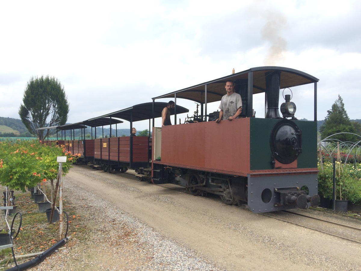 Erster Einsatz der Dampflokomotive Lukas auf der Schinznacher Baumschulbahn