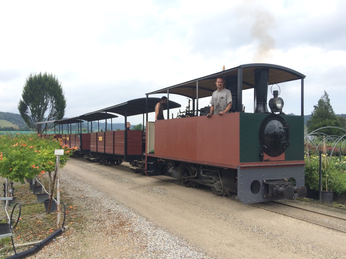 Dampflokomotive Lukas