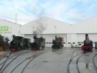 Ein grosser Teil der Dampfloksammlung der SchBB präsentiert sich vor dem Depot