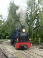 Abwarten eines Gegenzuges am Baumschulsee [1. September 2012]