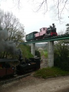 3-D-Kreuzung von Taxus und Sequoia [14. April 2012]