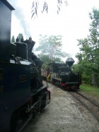 Eine der vielen Kreuzungen am Baumschulsee [2. September 2012]