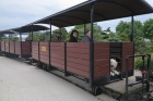 Der Personenwagen C 172 eingereiht in einem Zug [2013]