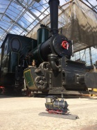 Der Grössenunterschied ist schon recht deutlich [29. Juni 2018]