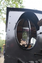 Die Baumschulbahner hatten ein paar kleine Begleiter auf der Reise nach Ostdeutschland