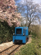 Fotohalt unter der Blütenpracht an der Bachstrecke [2017]