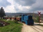 Der lange Zug fährt wieder entlang vom See in Richtung Bahnhof Baumschulsee [2017]