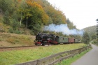 Der Zug der Sächsisch-Oberlausitzer Eisenbahngesellschaft dampft durch die herbstliche Landschaft