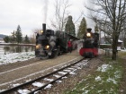 Die beiden Züge stehen im Bahnhof Baumschulsee bereit [2. Dezember 2017]