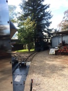 Hinter dem Kompostplatz wartet der Lukas die Vorbeifahrt der Taxus ab [6. Oktober 2018]