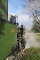 Die Molly ist bei Sonnenschein unterwegs durch die Baumschule [30. November 2013]