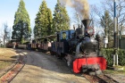 Kurzer Halt im Bahnhof Baumschulsee