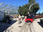 Das Zulauf Gartencenter und die Baumschulbahn werden in guter Erinnerung bleiben [22. August 2016]