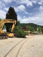 Ein weiterer Baum hat sich schlafen gelegt [9. Juli 2017]