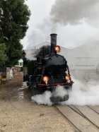 Passend zum Anlass ist die Molly geschmückt [26. November 2022]