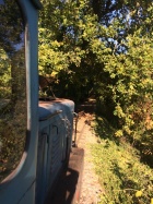 Die Viola fährt durch das herbstliche Blättermeer auf der Bachstrecke [15. Oktober 2016]