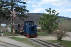 Die Abelia fährt mit dem Güterzug vom Feld in Richtung Bahnhof Baumschulsee