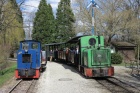Die Abelia und die Azalea treffen sich mit ihren Zügen im Bahnhof Baumschulsee