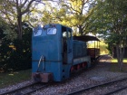 Die Viola fährt den Personenwagen C 173 an den Baumschulsee [20. Oktober 2016]