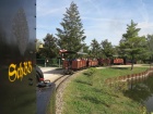 Die Züge von Taxus und Pinus folgen einander mit geringem Abstand [22. September 2018]