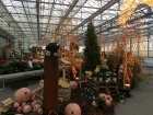 Für einen Kundenevent wurde das Gartencenter zusätzlich dekoriert [28. Oktober 2016]