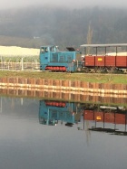 Die Viola spiegelt sich im Baumschulsee [2016]