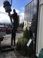 Mit viel Improvisation wird die Glocke in der Baumschule wieder abgeladen [12. November 2016]