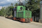 Die Azalea und ihr passend gekleideter Lokführer fahren zurück zum Depot [2013]
