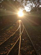 Die letzten Sonnenstrahlen des Tages lassen die Schienen glänzen [31. Oktober 2020]