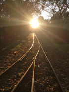 Die letzten Sonnenstrahlen des Tages lassen die Schienen glänzen [31. Oktober 2020]