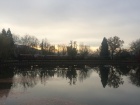 Morgenstimmung am Baumschulsee [21. November 2016]