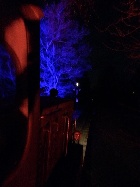 Blick aus dem Führerstand der Viola hinaus in die Nacht [9. Dezember 2016]