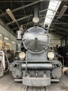 Die Molly geniesst ihren 79sten Geburtstag [1. Mai 2023]