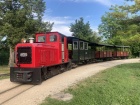 Die Opalinus hat drei Wagen aus dem seeseitigen Gleis des Bahnhofs Baumschulsee gezogen [2. Juni 2022]