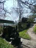 3-D-Kreuzung mit Molly und Emma [26. April 2008]