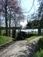 3-D-Kreuzung mit Molly und Pinus [26. April 2008]