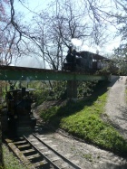 Eine weitere 3-D-Kreuzung mit Molly und Pinus [26. April 2008]