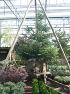 Mit einem Dreibein wurden früher die Bäume auf die Bahn verladen [24. September 2008]