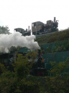 Die Pinus ist noch mit einem Extrazug unterwegs [27. September 2008]