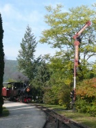 Die Pinus bei der Einfahrt in den Bahnhof Baumschulsee [28. September 2008]
