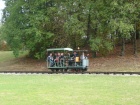 Eine Draisine mit zweiachsigem Sommerwagen unterwegs durch den Park