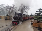 Die Pinus steht mit ihrem Zug im Hauptbahnhof für die nächste Fahrt bereit [4. April 2015]