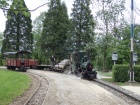Die Emma durchfährt mit dem Güterzug den Bahnhof Baumschulsee [2. Mai 2015]