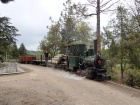 Der Güterzug fährt durch den Baumschulpark [2. Mai 2015]