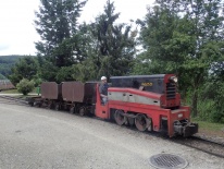 Die Paeonia fährt mit dem, um die Kessellore verstärkten, Kastenkipper-Zug in den Bahnhof Baumschulsee ein [4. Juni 2016]